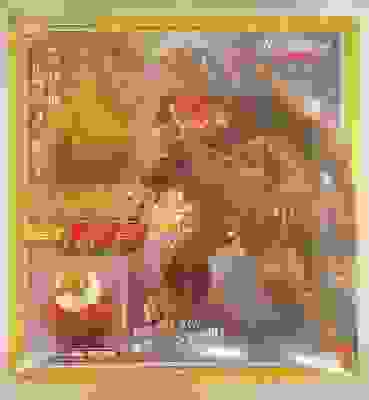 Imagen de Chogokin GE-09 Gamera The Brave