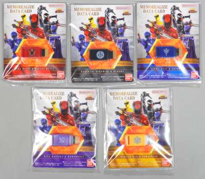 Imagen de Memorealize Data Card Kingohger Set